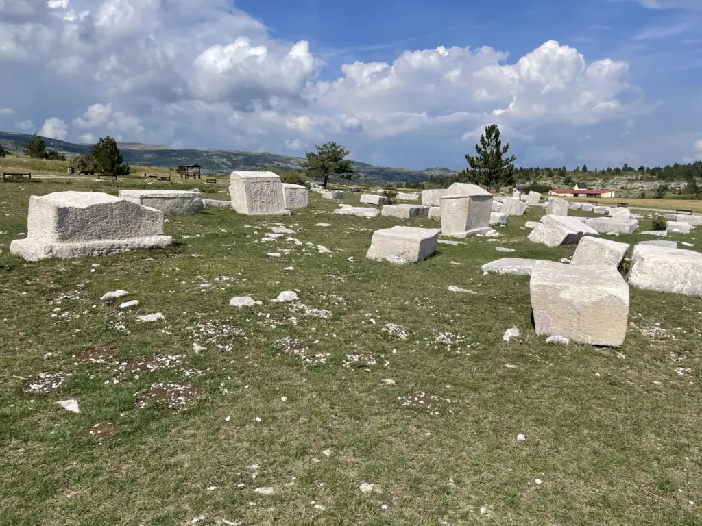 Stećci médiévaux en pierre gravés de motifs symboliques, situés dans le parc naturel de Blidinje au milieu des montagnes et de la végétation
